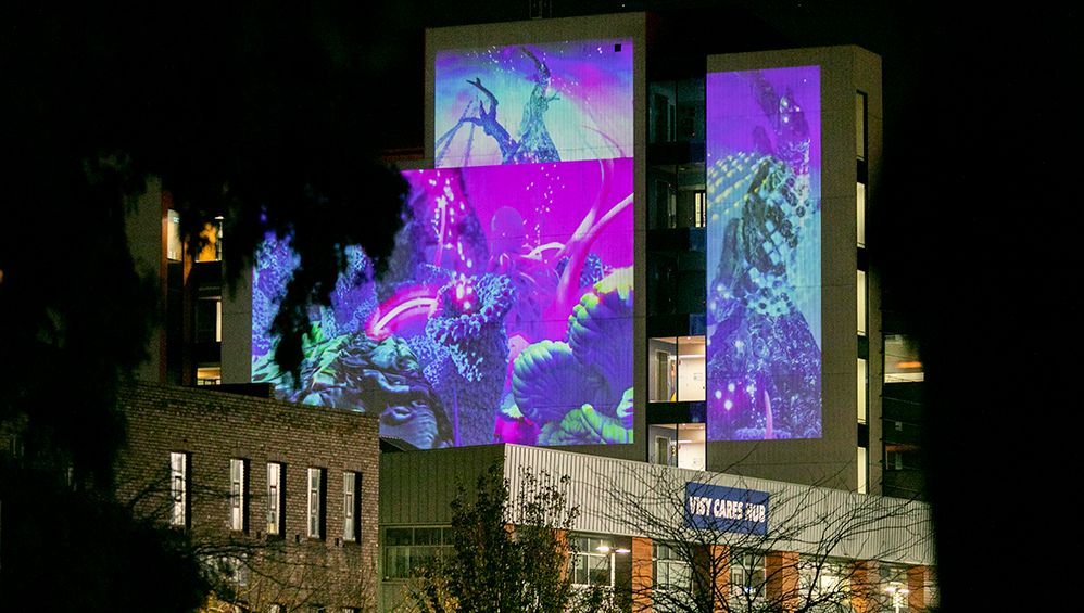 Artistic light projection on the Brimbank Community and Civic Centre building