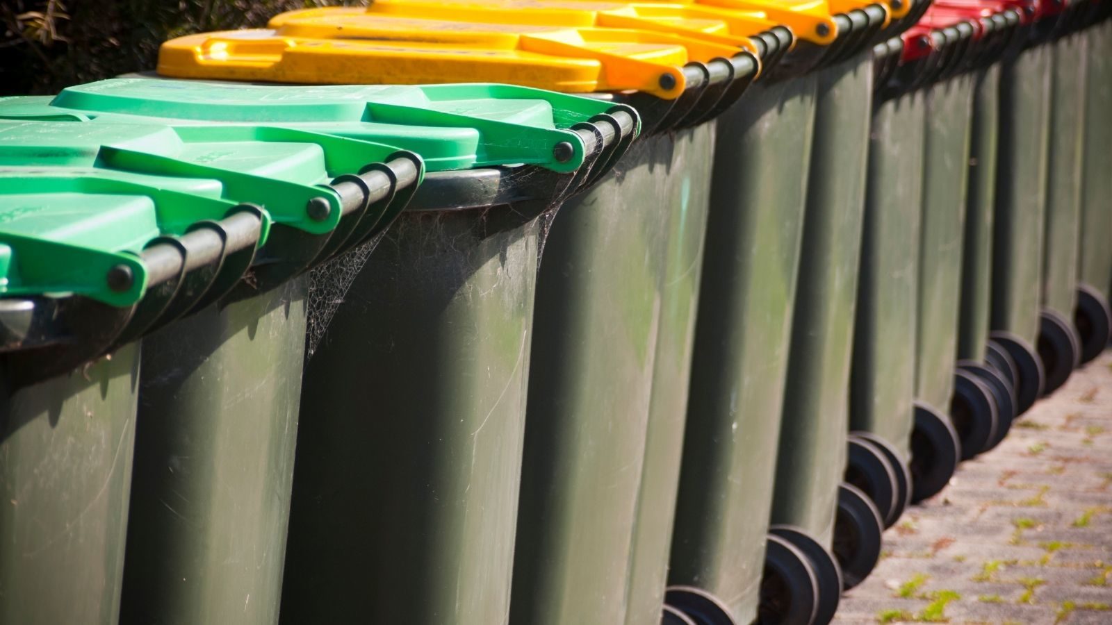 Household rubbish and recycling bins lined up in a row