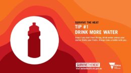 Survive the heat tip 1 - Drink more water - Even if you don't feel thirsty, drink water unless your doctor limits your fluids. Always take a bottle with you.
