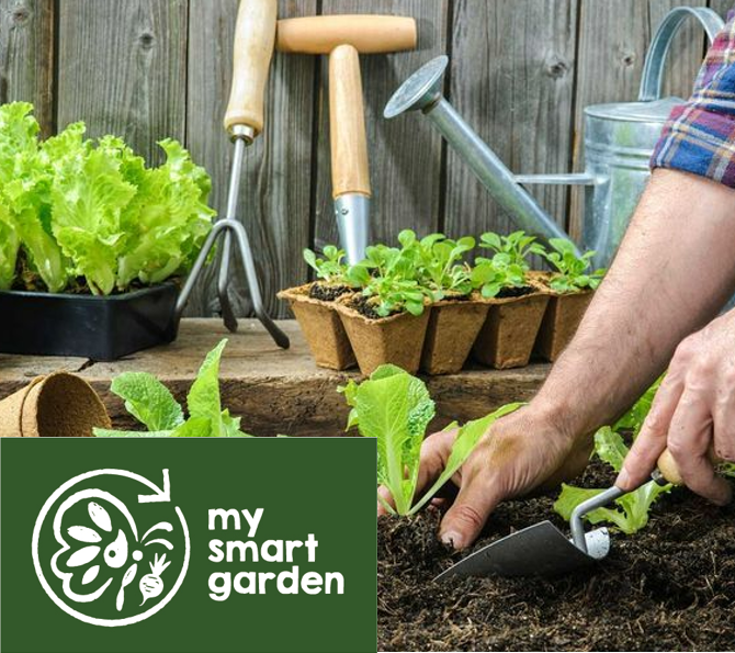 Winter Gardening – My Smart Garden event